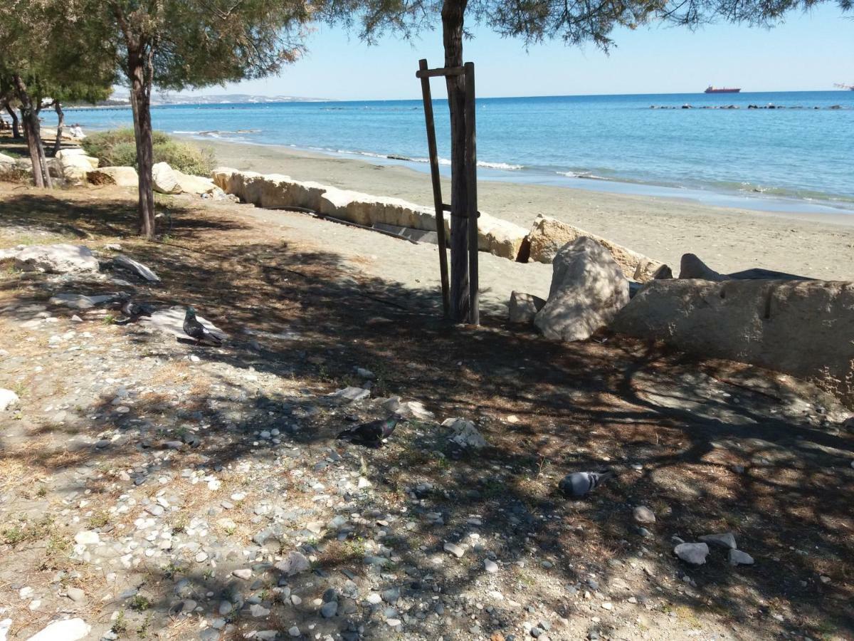 شقة Mediterranean Breeze ليماسول المظهر الخارجي الصورة